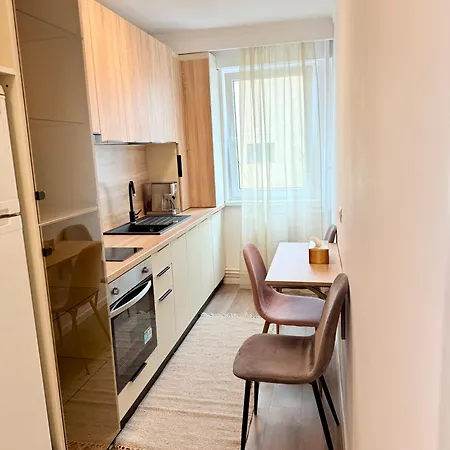Piata Ovidiu 14 Loft 公寓 康斯坦察